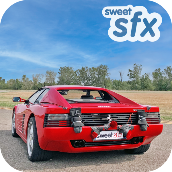 Ferrari 512 TR