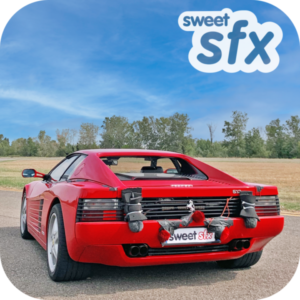 Ferrari 512 TR