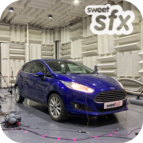Ford Fiesta Foley SSFX